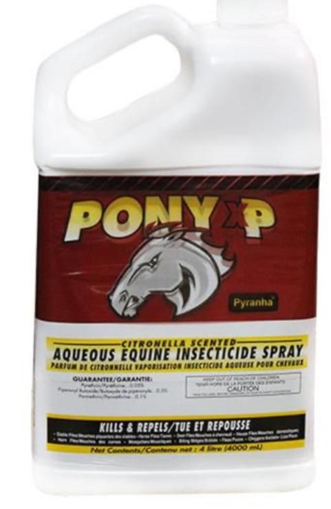 Pony XP 4L - Rider's Tack.Apparel.Supply