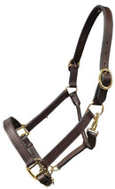 Griffith Leather Halter