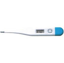 Large Display Digital Thermometer