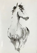 EM Horse Print Cards