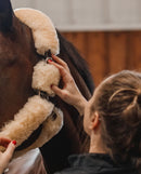 Commonwealth Whistler Shipping Halter