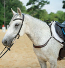Correct Connect Free Motion Breastplate With Double Neck Strap