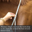 Correct Connect Double Neck Strap