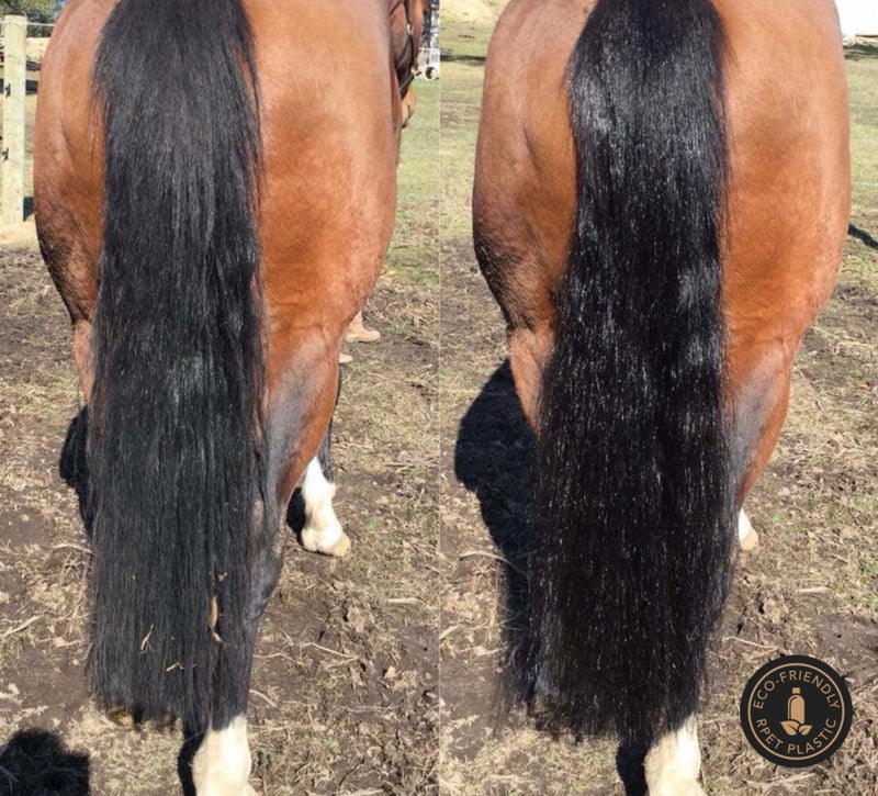 2 in 1 Detangle & Shine Spray - Original