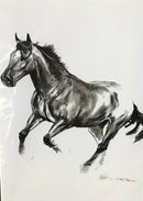 EM Horse Print Cards