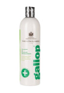 Carr & Day & Martin Gallop Clean & Clear Shampoo