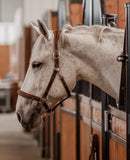 Commonwealth Waterton Leather Halter
