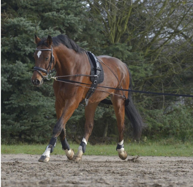 Waldhausen Lunge Aid