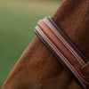 Commonwealth Hunter Bridle
