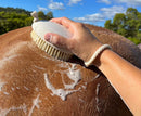 Hairy Pony Wash Bay Brush