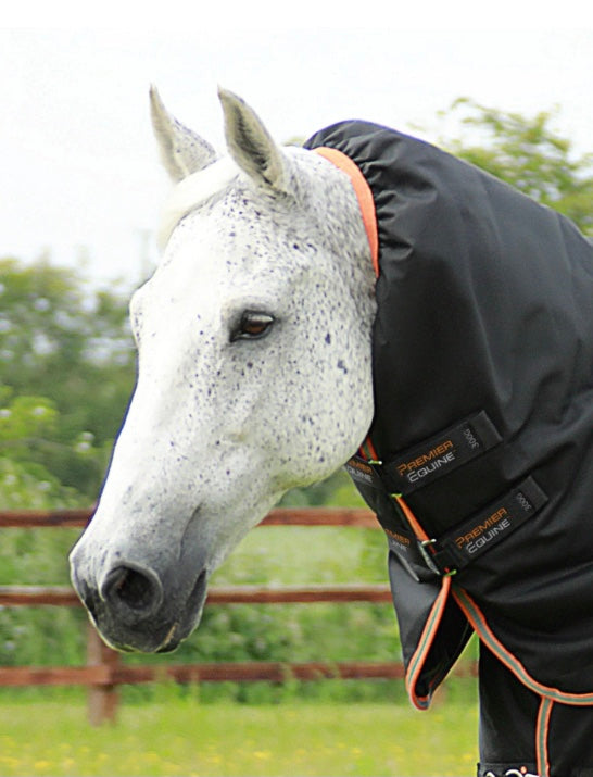 Premiere Equine Titan 300gram