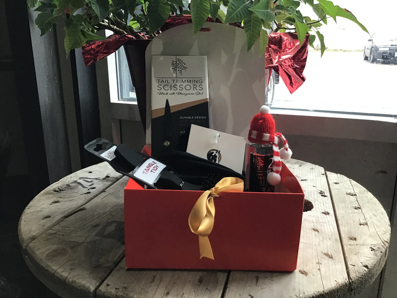 Christmas Gift box- Tails For Days