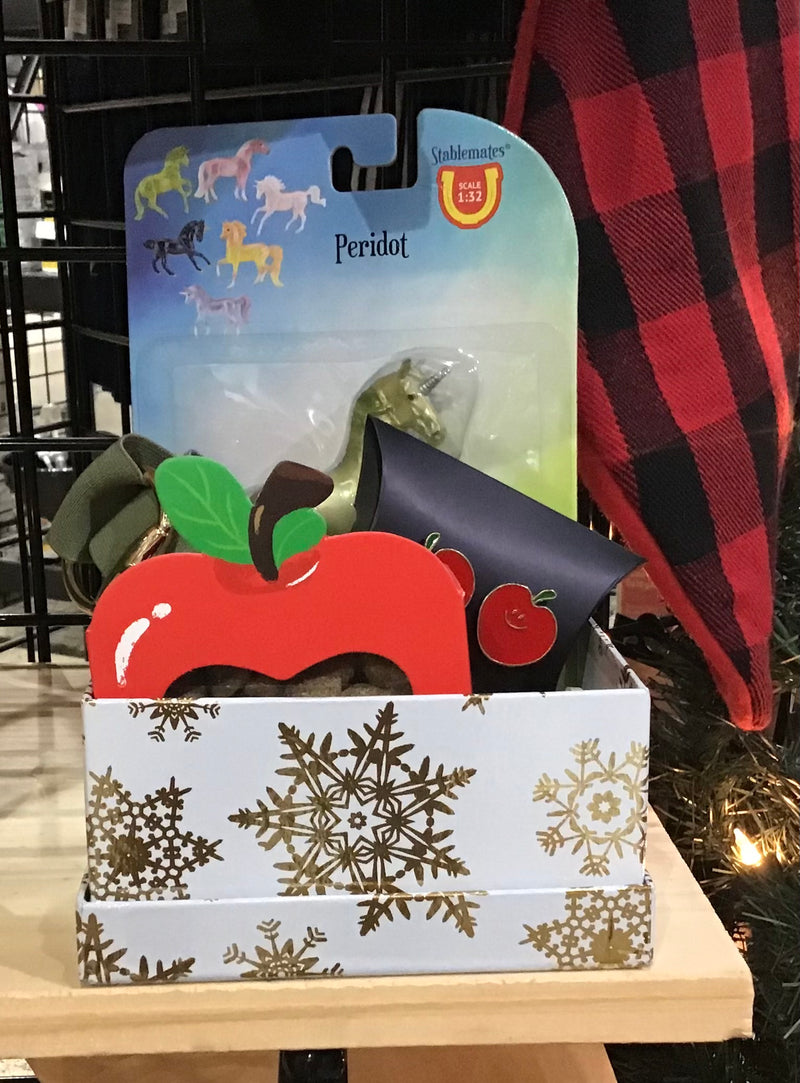 Christmas Gift Box Kids Breyer