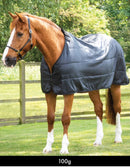 Premiere Equine Liner 100gram