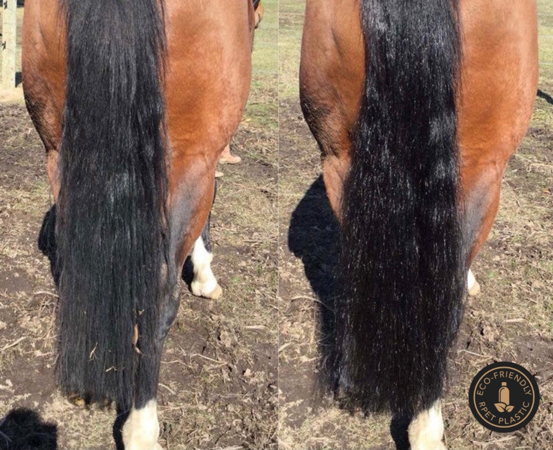 Hairy Pony 2 in 1 Detangle & Shine Spray - Original