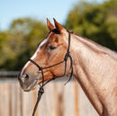 Classic Equine Rope Halter/Lead