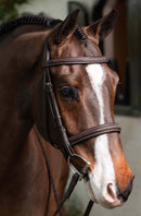 Lemieux Hunter with Reins