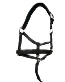 Foal or Mini Halter