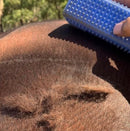 Hairy Pony Horse Grooming Block