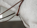 Commonwealth Standing Martingale