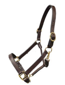 Brown Leather Halter