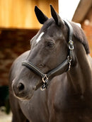 LeMieux Crystal Halter
