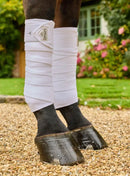 Lemieux Elevate Polo Bandages
