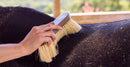 Hairy Pony Flick Brush