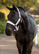 Lemieux Versailles Halter