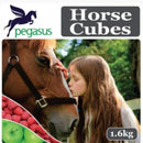 Pegasus Treats