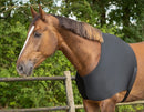 Blanket chest protector