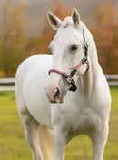 LeMieux Ropella Halter