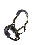 Arma Fleece Lined Lunge Cavesson