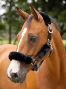 LeMieux Simuwool Halter Set