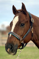 Fancy Stitched Halter with Turquoise Padding