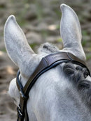 LeMieux Arika Cavesson Bridle