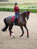 Equestrian Stockholm Dressage Saddle Pad Line