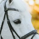 Lumiere Milan Bridle - Convertible