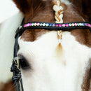 Lumiere Pony Rainbow Browband