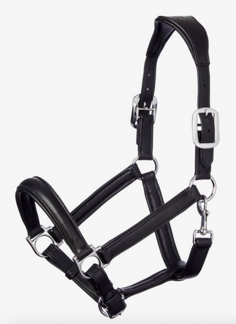 Lemieux Anatomical Leather Halter