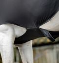 Horseware Rambo Full Body Slinky