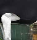 Horseware Rambo Full Body Slinky