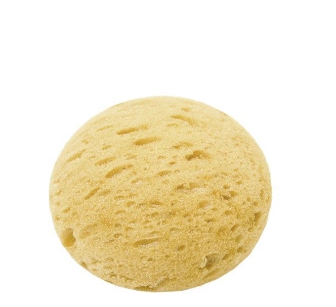 Course Pore Tack Sponge - Rider's Tack.Apparel.Supply