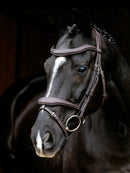 LeMieux Kudos Contour Flash Bridle