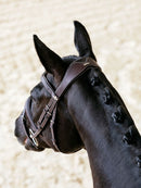 LeMieux Kudos Contour Flash Bridle
