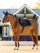 LeMieux Essence Eurojump Square Black