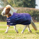 Shires Miniature Turnout