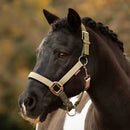 Medley Halter