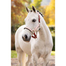 Medley Halter