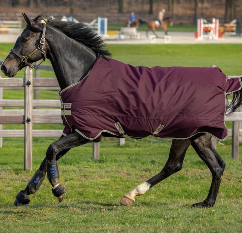 Amigo Hero Ripstop Lite 0 gram - Rider's Tack.Apparel.Supply